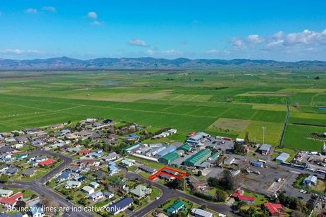 Photo of property in 9b Walton Place, Ngatea, 3503