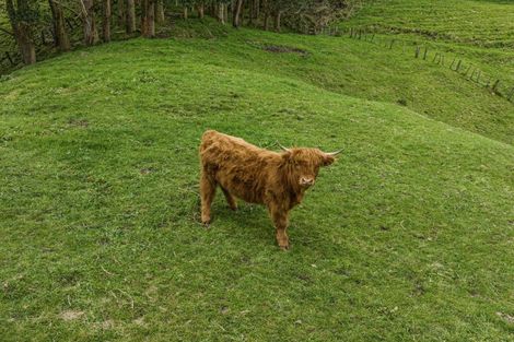 Photo of property in 148 Stanley Road, Wainui, Opotiki, 3198