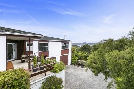 Photo of property in 33 Elliffe Place, Shiel Hill, Dunedin, 9013