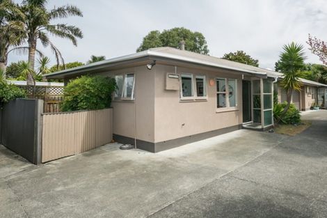 Photo of property in 51a Mcgrath Street, Napier South, Napier, 4110