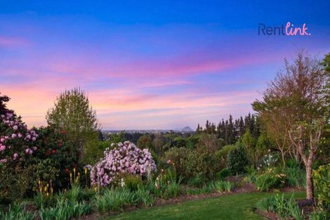 Photo of property in 497e Joyce Road, Pyes Pa, Tauranga, 3173