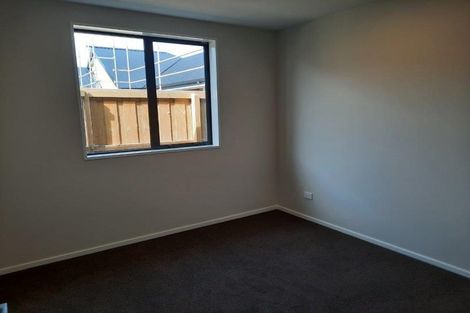 Photo of property in 19 Nathaniel Archer Street, Woodend, 7610