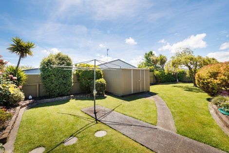 Photo of property in 8 Willowbank Crescent, Feilding, 4702