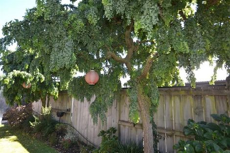 Photo of property in 63 Templemore Drive, Richmond, 7020