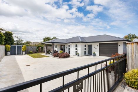 Photo of property in 15b Chamberlain Street, Feilding, 4702