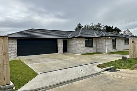 Photo of property in 24 Pahiki Crescent, Levin, 5510