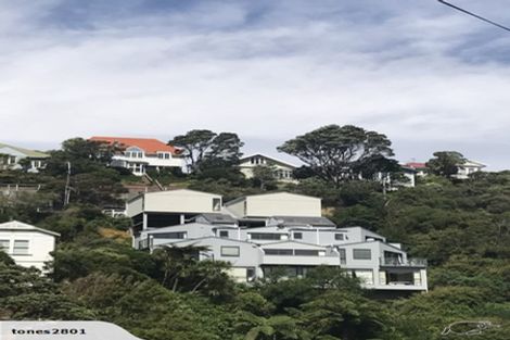 Photo of property in 44b Fairview Crescent, Kelburn, Wellington, 6012