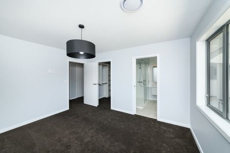 Photo of property in 163a Denbigh Street, Feilding, 4702