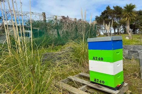 Photo of property in 103 Mcleod Road, South Head, Helensville, 0874