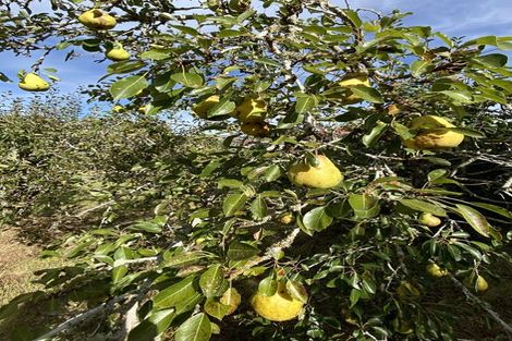 Photo of property in 1142 Garston-athol Highway, Athol, 9793