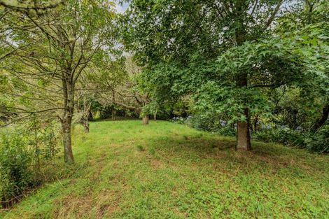 Photo of property in 47 Pook Road, Buckland, Pukekohe, 2677