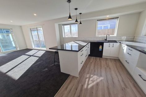 Photo of property in 51b Opawa Road, Waltham, Christchurch, 8023