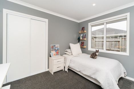 Photo of property in 3 Pearl Grove, Ashhurst, 4810