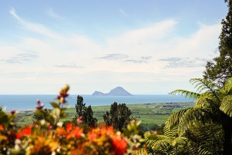 Photo of property in 229 Kokako Heights, Matata, 3194