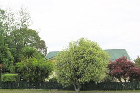 Photo of property in 21 Carlyle Street, Te Aroha, 3320