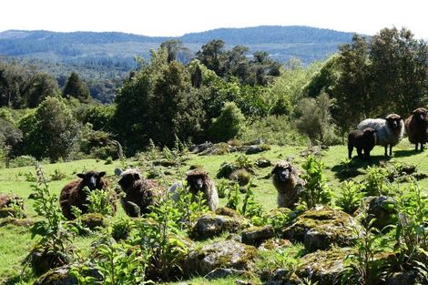 Photo of property in 1634 Kumara-inchbonnie Road, Inchbonnie, Kumara, 7875