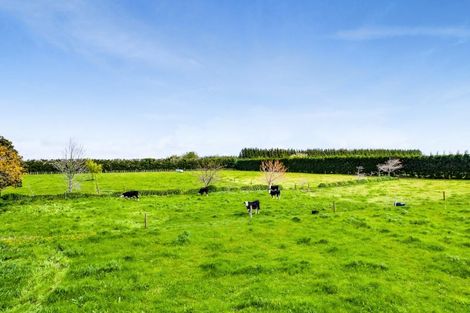 Photo of property in 484 Corbett Road, Lepperton, New Plymouth, 4373