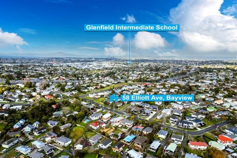 Photo of property in 58 Elliott Avenue, Bayview, Auckland, 0629