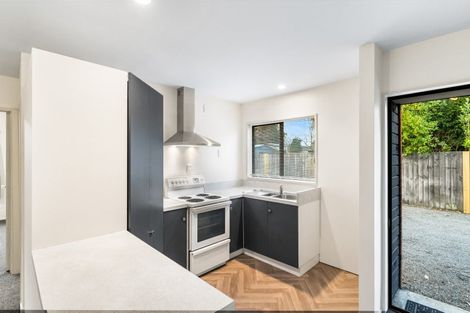 Photo of property in 1/112a Poulson Street, Addington, Christchurch, 8024