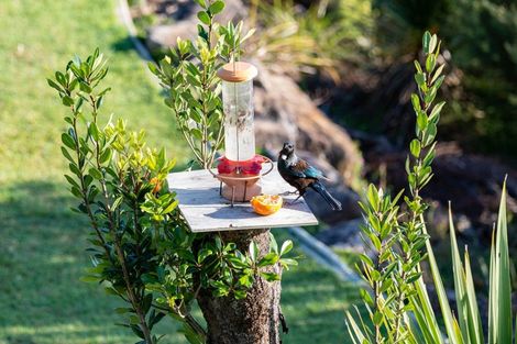 Photo of property in 12e Broadview Road, Opua, 0200