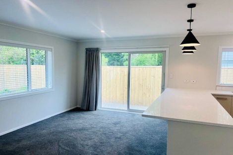 Photo of property in 54b Costley Street, Carterton, 5713