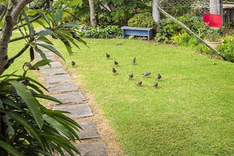 Photo of property in 469 Whangarei Heads Road, Tamaterau, Whangarei, 0174