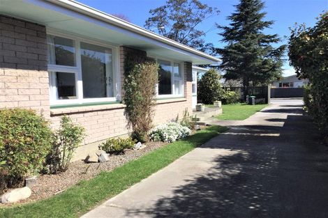 Photo of property in 256 Waimairi Road, Ilam, Christchurch, 8041