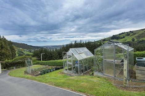 Photo of property in 268 Norwood Street, Normanby, Dunedin, 9010