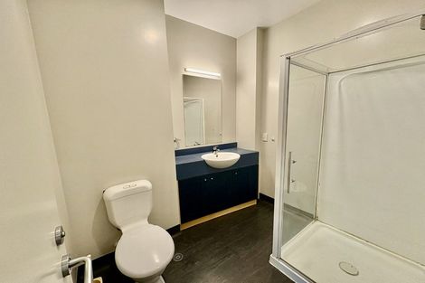 Photo of property in Hanson House, 2/27 Hanson Street, Mount Cook, Wellington, 6021