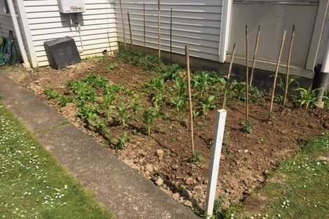 Photo of property in 21 Walker Terrace, Dinsdale, Hamilton, 3204