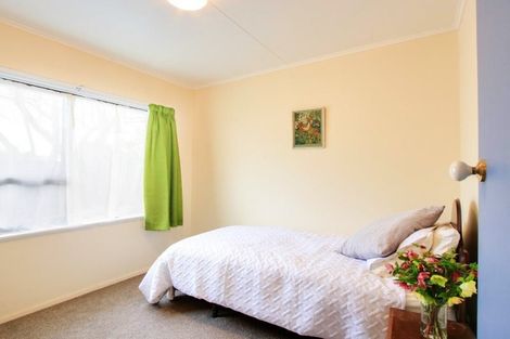 Photo of property in 220 Lumsden Place, Akina, Hastings, 4122