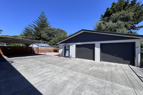 Photo of property in 123 Monrad Street, Highbury, Palmerston North, 4412