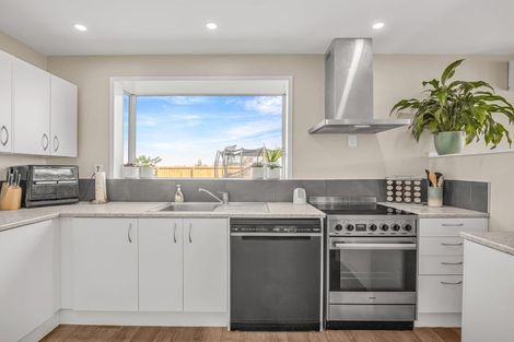 Photo of property in 65 Nixon Street, Tinwald, Ashburton, 7700