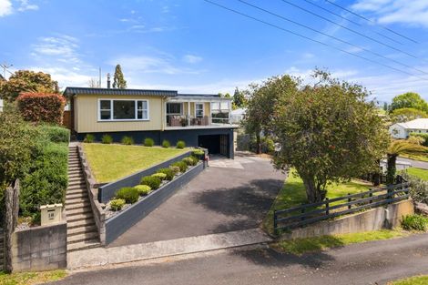 Photo of property in 18 Terrace Street, Putaruru, 3411