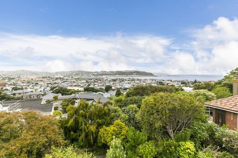 Photo of property in 9 Lerwick Terrace, Melrose, Wellington, 6023