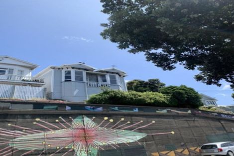 Photo of property in 120 Wallace Street, Mount Cook, Wellington, 6021