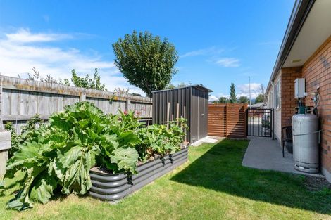 Photo of property in 6 Madison Street, Carterton, 5713