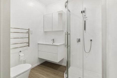 Photo of property in 195a Vivian Street, Te Aro, Wellington, 6011