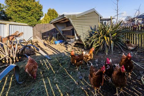 Photo of property in 57 Fenton Street, Stratford, 4332