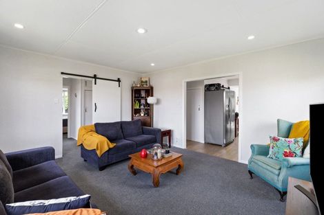 Photo of property in 19 Battersea Place, Roslyn, Palmerston North, 4414