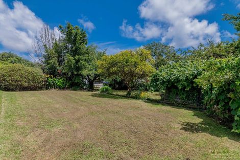 Photo of property in 12a York Street, Levin, 5510