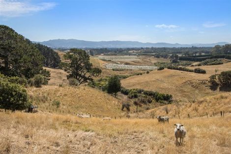 Photo of property in 77 Turner Road, Whakamarama, Katikati, 3181