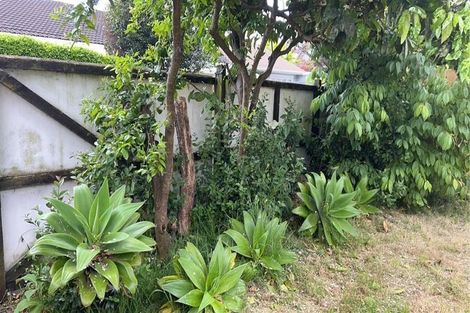 Photo of property in 3/43 Abbotts Way, Remuera, Auckland, 1050