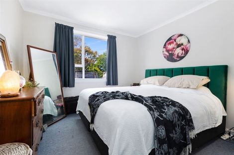 Photo of property in 259 Bower Avenue, North New Brighton, Christchurch, 8083