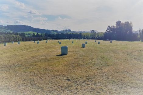 Photo of property in 9850b State Highway 2, Waihi, 3681