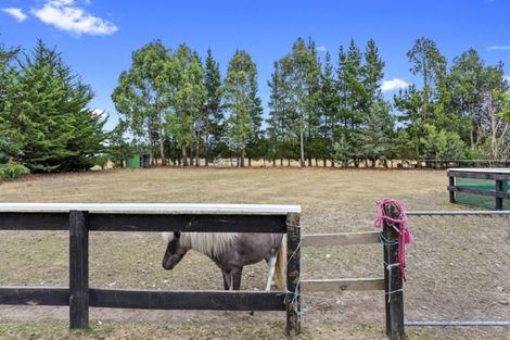 Photo of property in 339 Main Race Road, Eyrewell, Rangiora, 7476