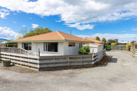 Photo of property in 29a Cubitt Street, Blenheim, 7201