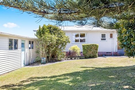 Photo of property in 29 Kaikoura Street, Henderson, Auckland, 0612