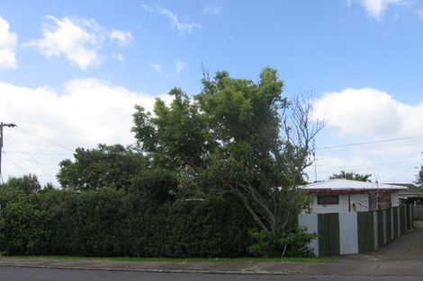 Photo of property in 133 Waipuna Road East, Mount Wellington, Auckland, 1060
