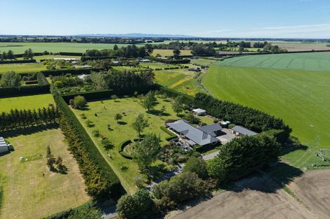 Photo of property in 41 Bridge Road, Greendale, Christchurch, 7671